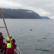 Northsailing - Island - Iceland