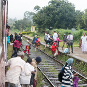 Sri Lanka- Train- Hochland - Highland