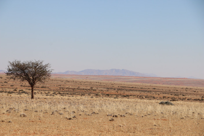 Farmweg zur Namtib Desert Lodge - Namibia