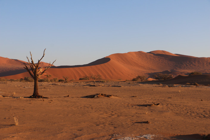 Sonnenaufgang im Sossusvlei - Namibia
