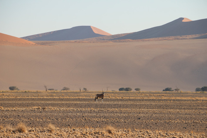Sonnenaufgang im Sossusvlei - Namibia