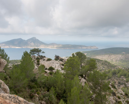 Blick auf die Insel Sa Dragonera