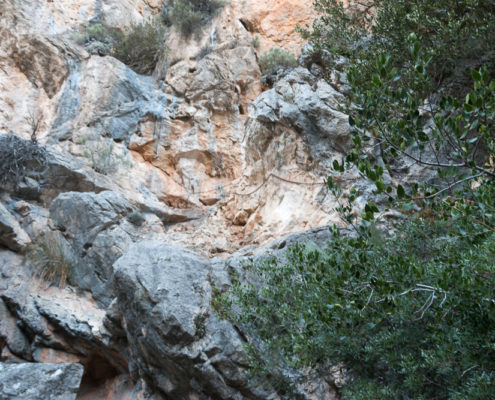 Kletterpassage Trockenmauerweg zwischen Cuber und Tossals Verds