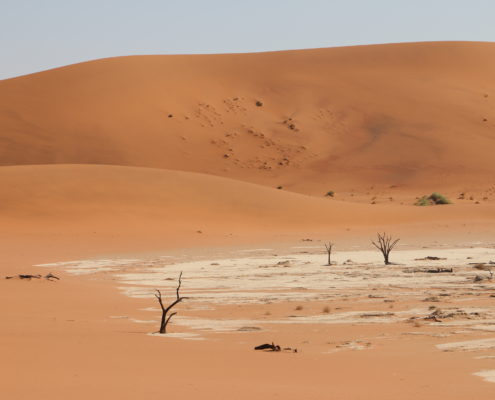 Namibia Roadtrip Deadvlei