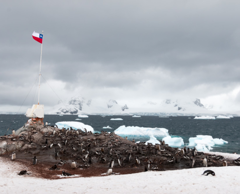 Chilenische Flagge mit Pinguinkolonie auf der Antarktis Station Gonzales Videla