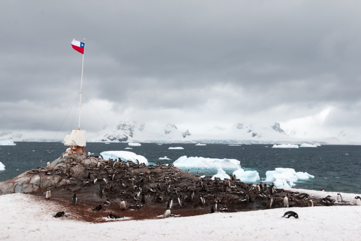 Chilenische Flagge mit Pinguinkolonie auf der Antarktis Station Gonzales Videla
