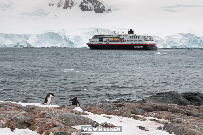 MS Midnatsol in der Bucht vor Gonzales Videla in der Antarktis